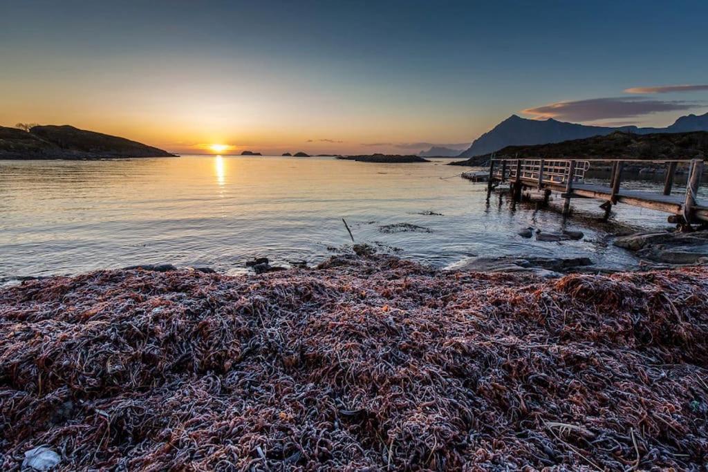 Lofoten - New Apartment, Close To Airport. Leknes Exterior photo